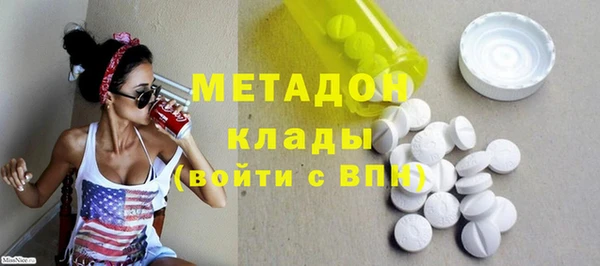 сатива Бородино