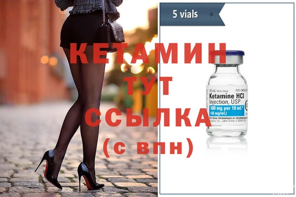 сатива Бородино
