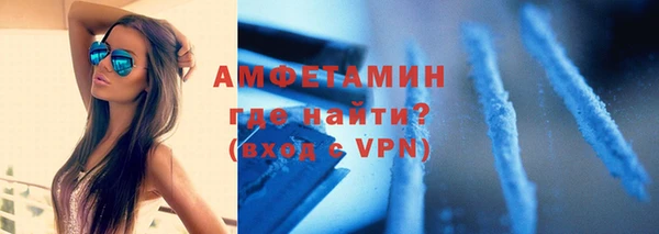 сатива Бородино