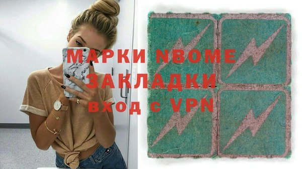 сатива Бородино