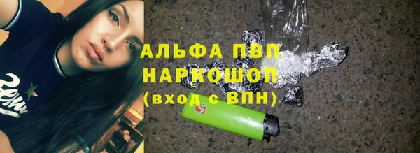сатива Бородино
