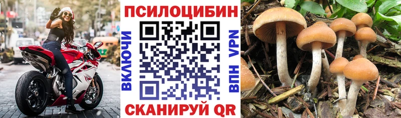 Галлюциногенные грибы прущие грибы даркнет сайт кракен зеркало Волгореченск
