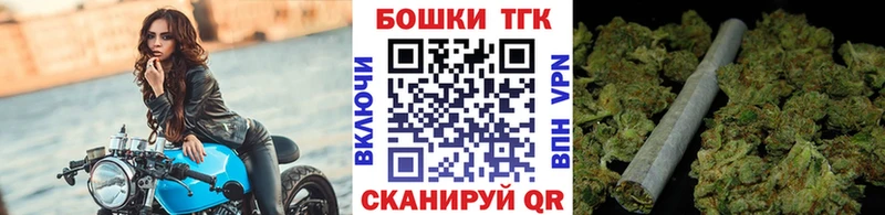 shop наркотические препараты  kraken ONION  Волгореченск  цена наркотик  Шишки марихуана план 
